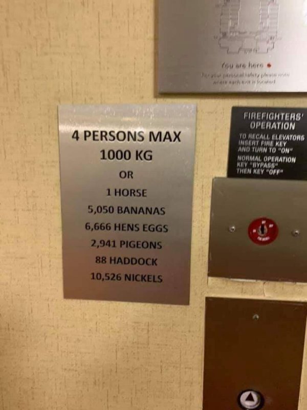1000kg